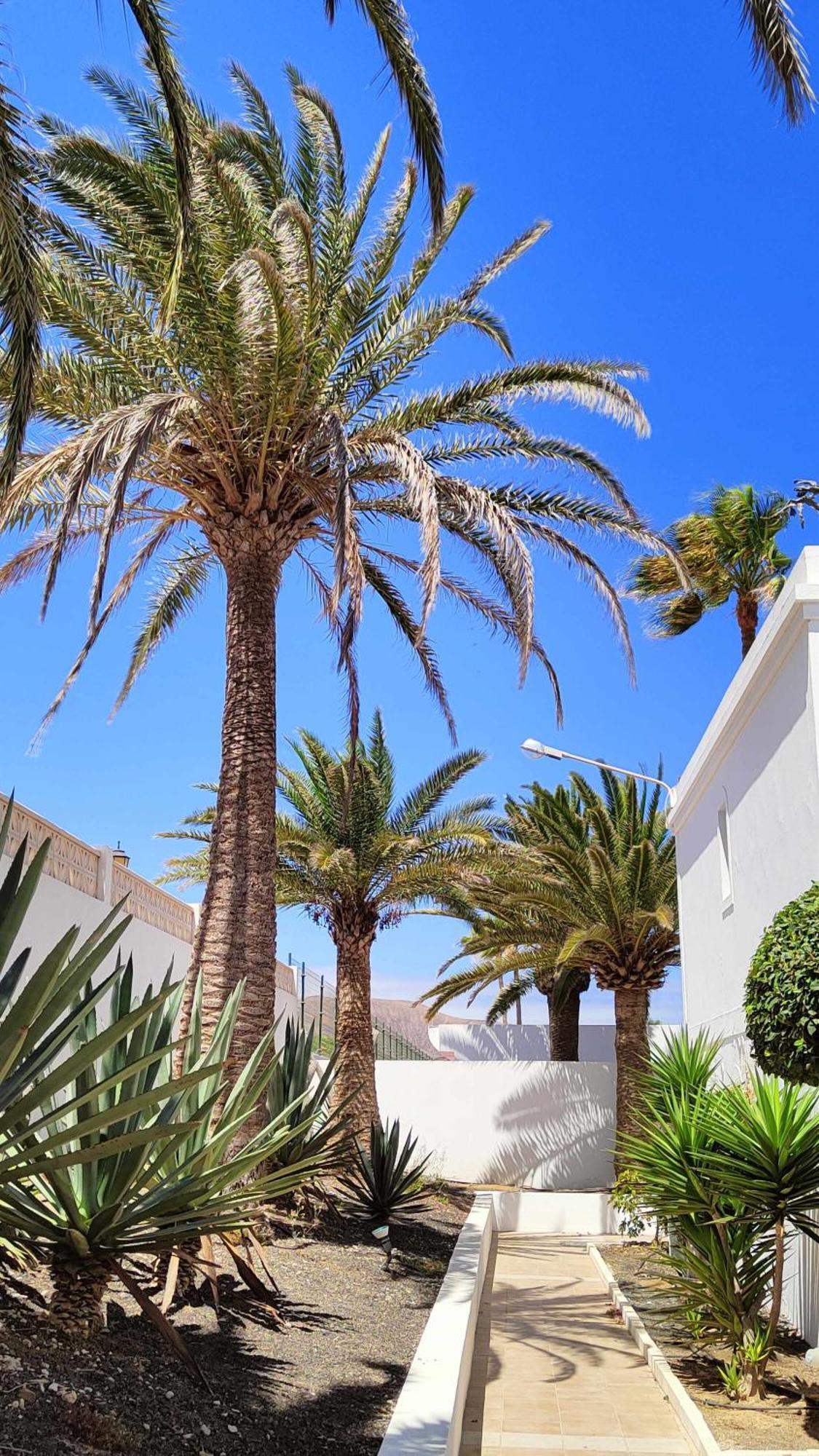 Momis House Corralejo Dunas By Momi Fuerteventura Luaran gambar